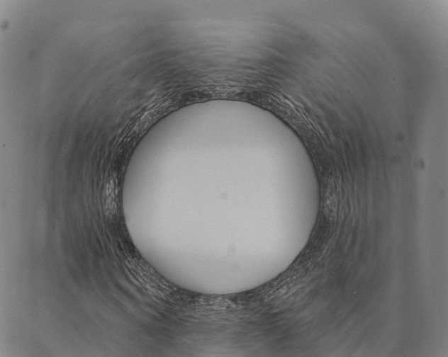 X0000090460866200707130951