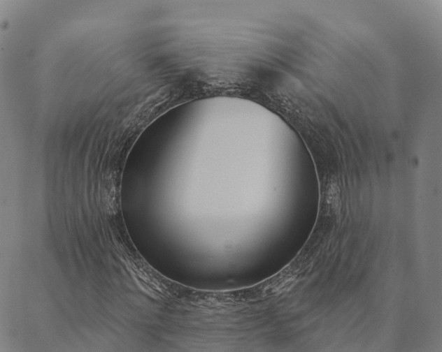X0000090460868200707130951