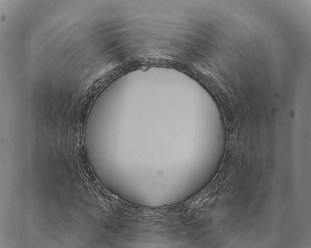 X0000090460870200707130951