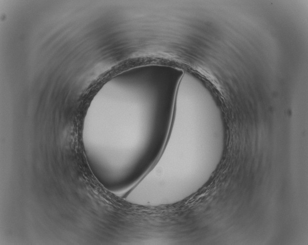 X0000090460872200707130951