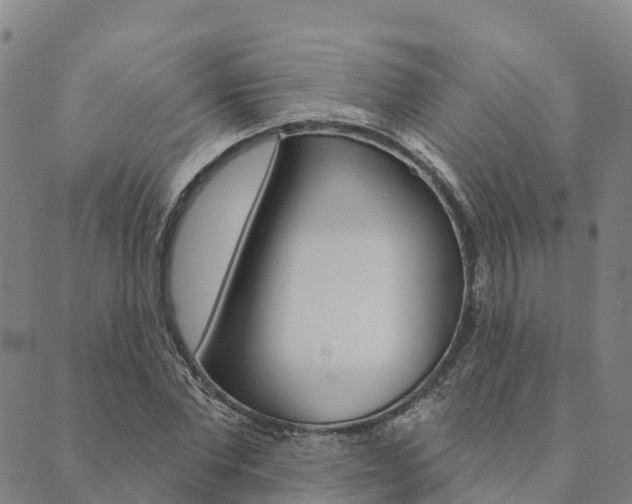 X0000090460877200707130951