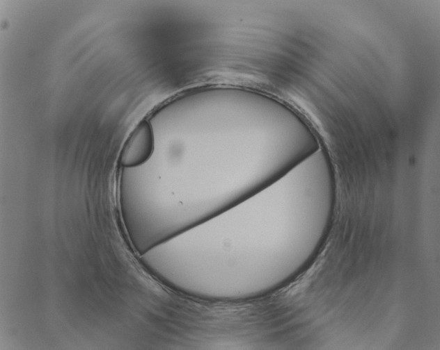 X0000090460891200707130951