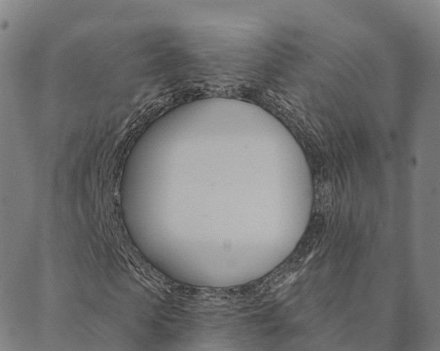 X0000090460913200707130950