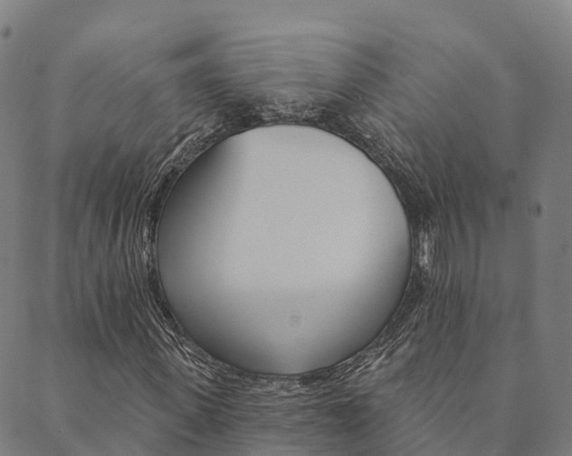 X0000090460915200707130950