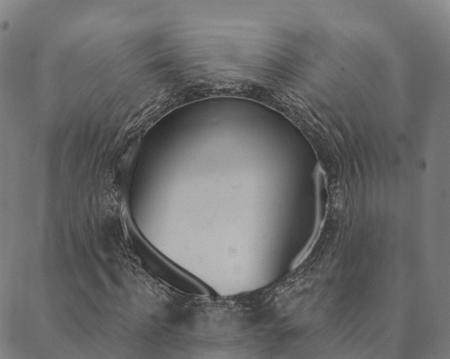 X0000090460916200707130950