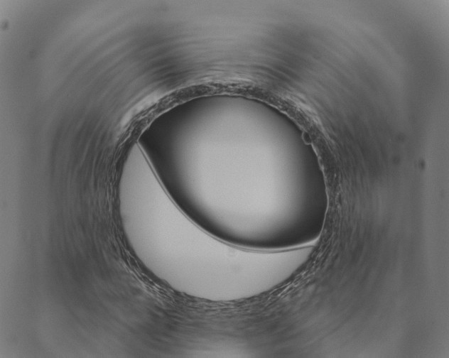 X0000090460920200707130950