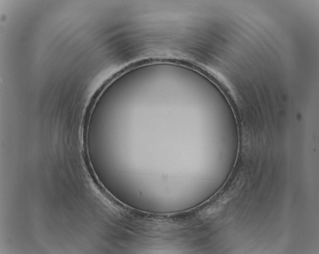 X0000090460935200707130950