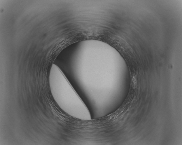 X0000090460963200707130949