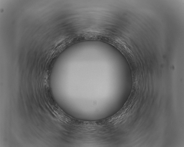 X0000090460964200707130949