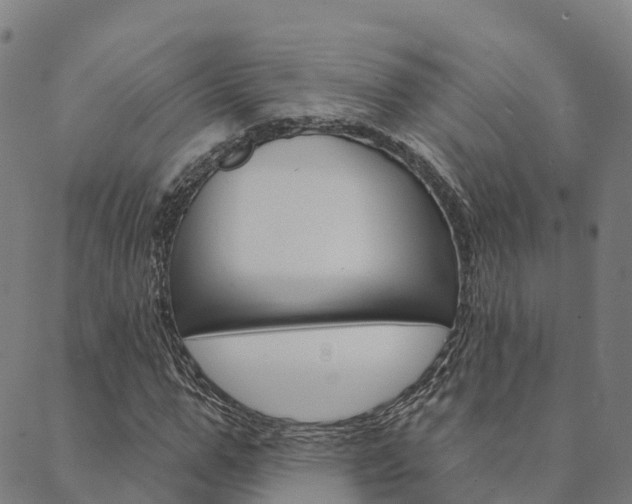 X0000090460967200707130949