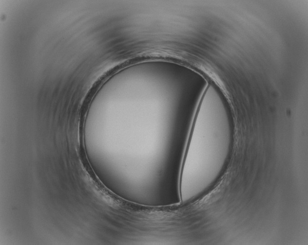 X0000090460984200707130949