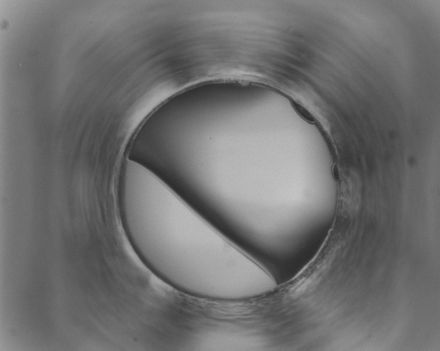 X0000090461007200707130949