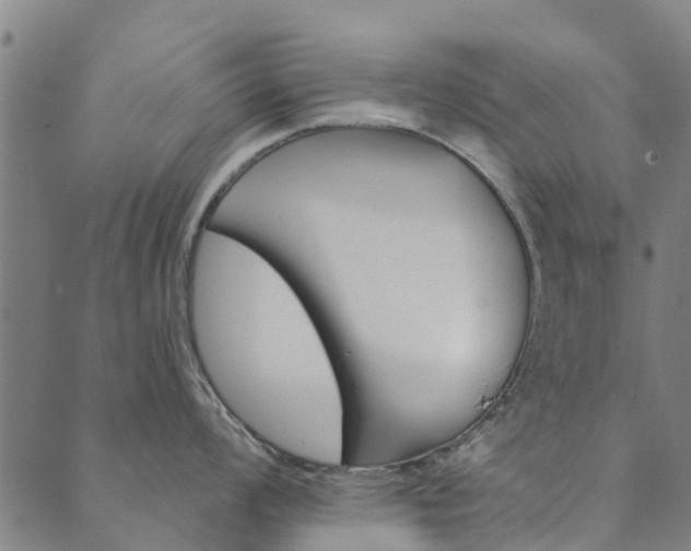 X0000090461008200707130949