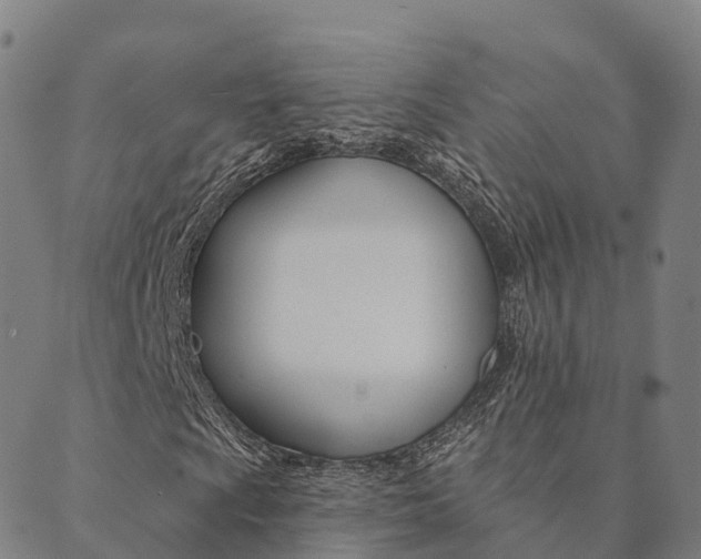 X0000090461009200707130948
