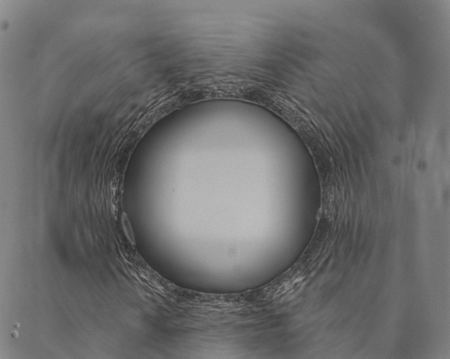 X0000090461010200707130948