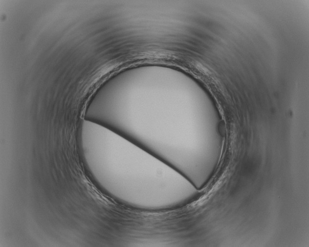 X0000090461017200707130948