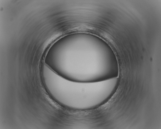X0000090461026200707130948