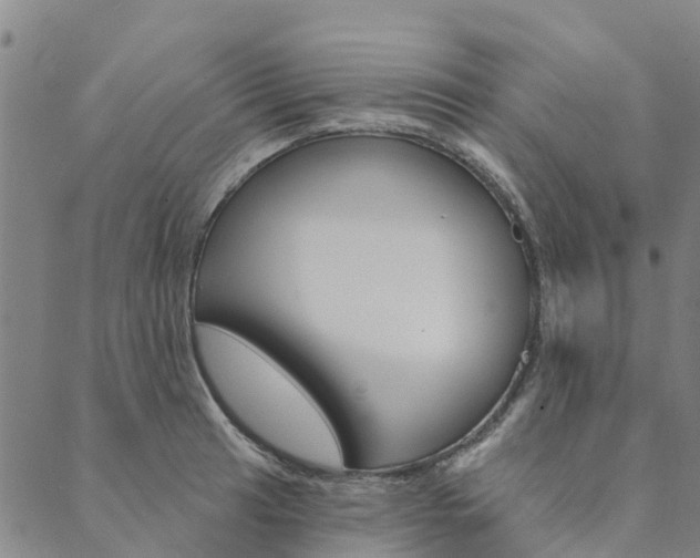 X0000090461041200707130948