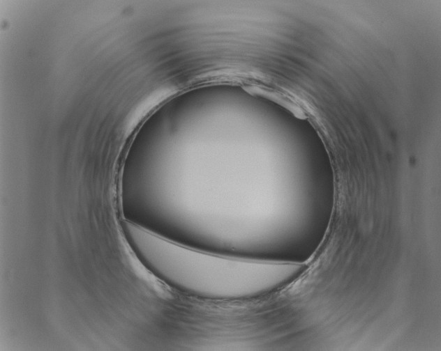 X0000090461042200707130949