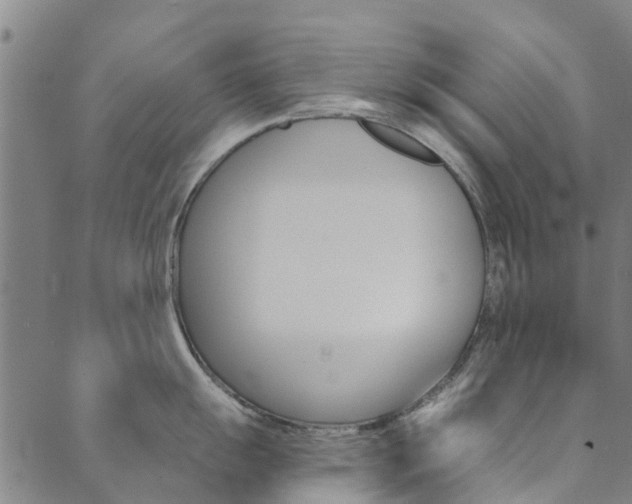 X0000090461055200707130949