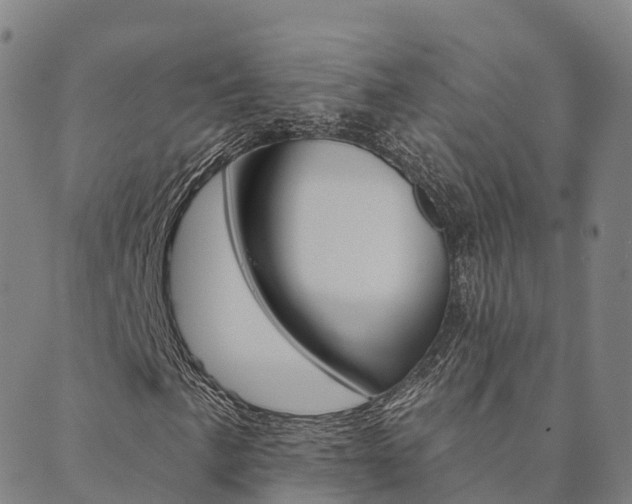 X0000090461057200707130948