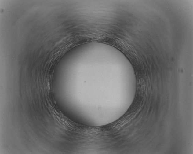 X0000090461058200707130948