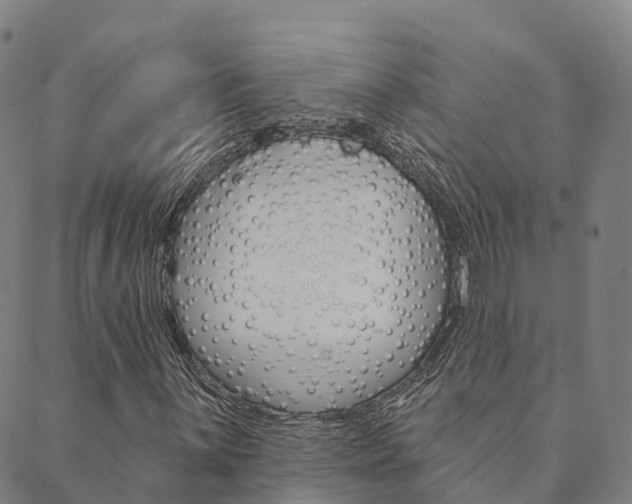X0000090461059200707130948