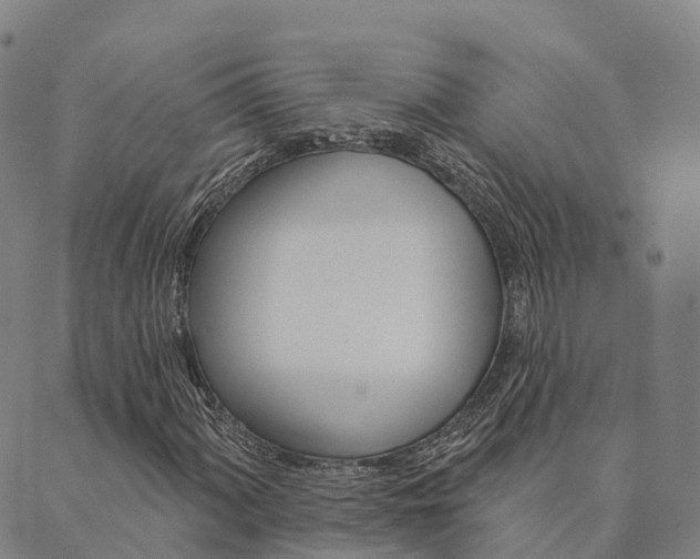 X0000090461060200707130948