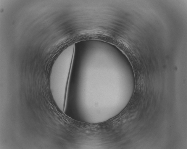 X0000090461062200707130948