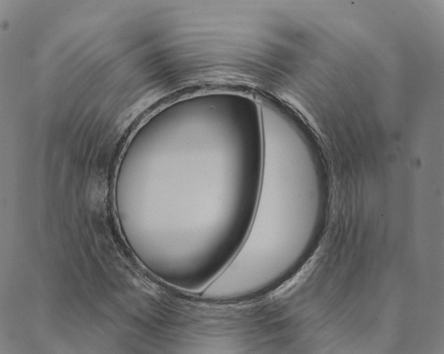 X0000090461065200707130948