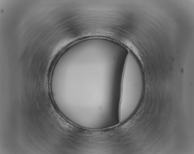 X0000090461072200707130948