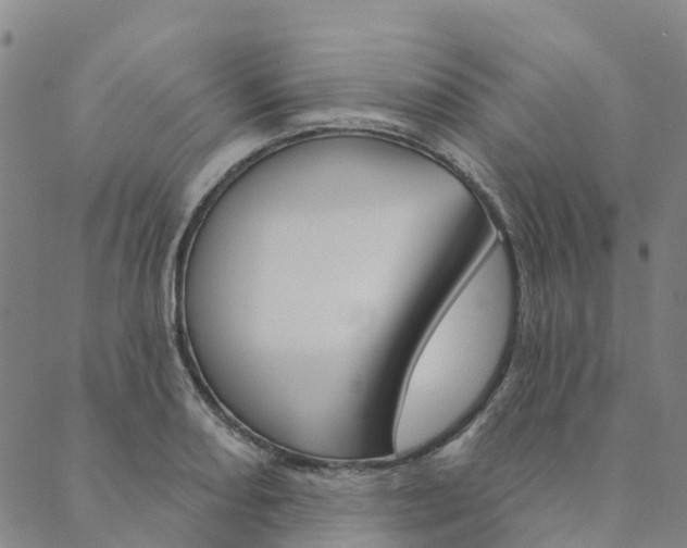 X0000090461082200707130948