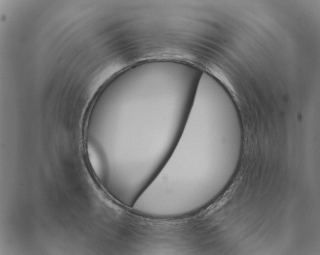X0000090461087200707130947