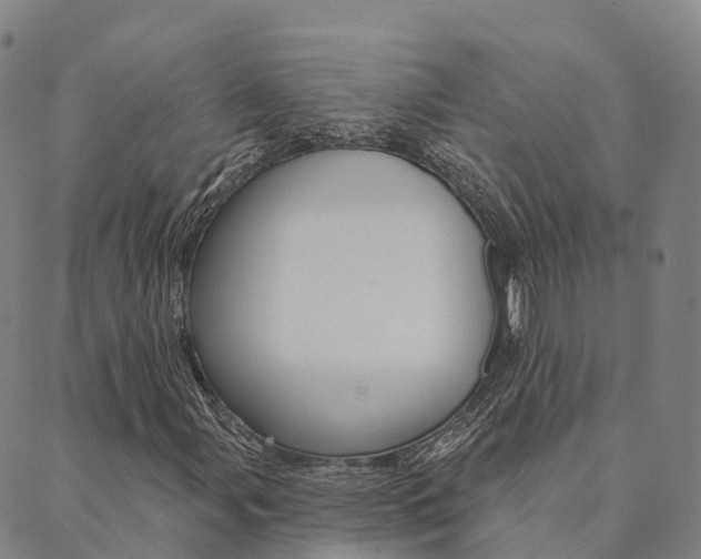 X0000090461107200707130946