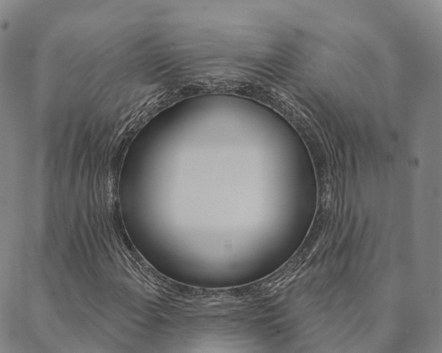 X0000090461108200707130946
