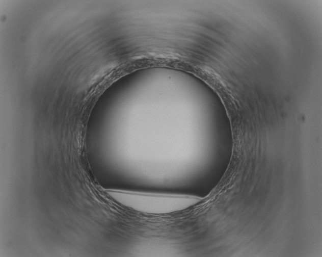 X0000090461110200707130946