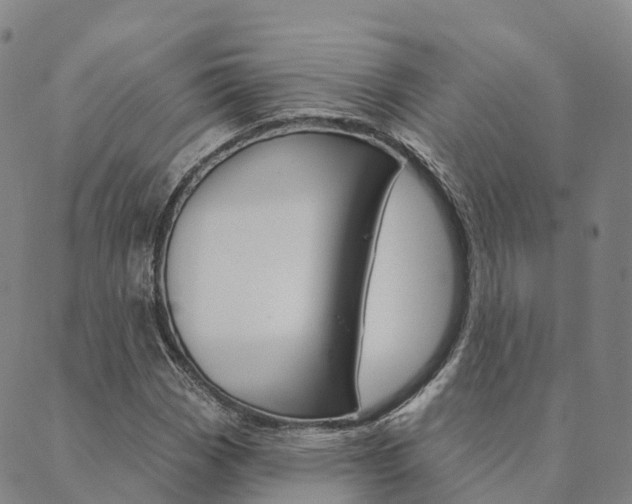 X0000090461113200707130947