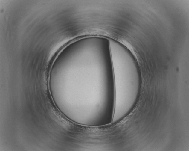 X0000090461120200707130947