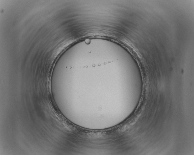 X0000090461121200707130947