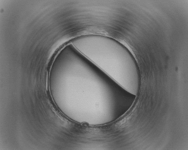 X0000090461123200707130947