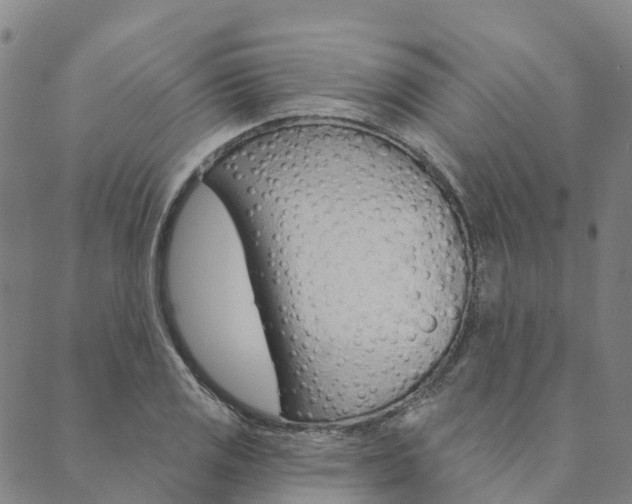 X0000090461125200707130947