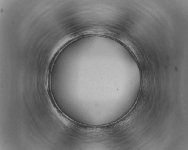 X0000090461131200707130947