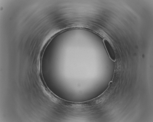 X0000090461132200707130947