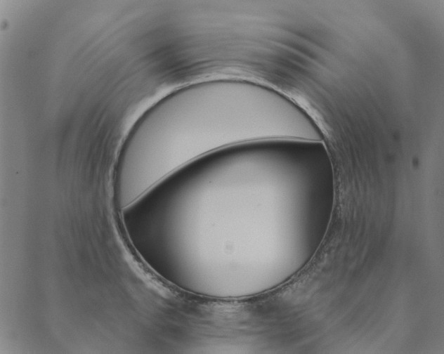 X0000090461134200707130947