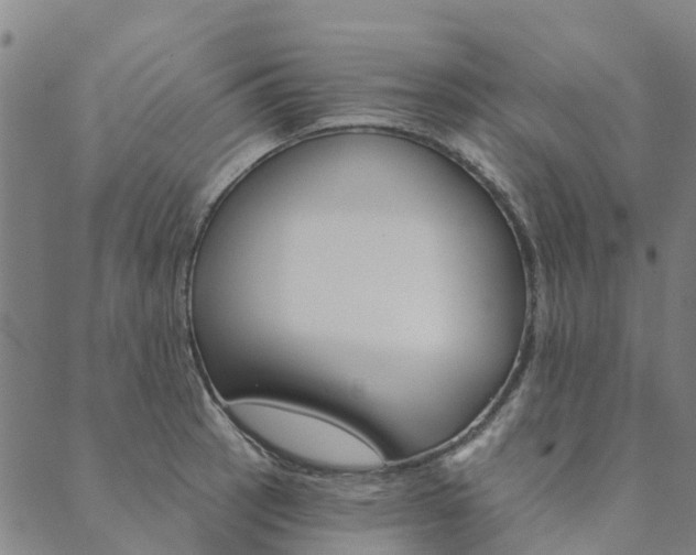 X0000090461137200707130947