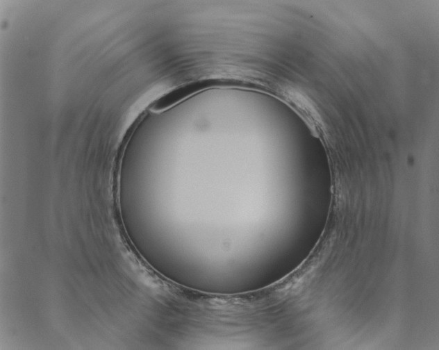 X0000090461138200707130947