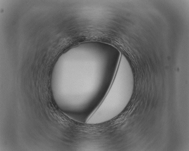 X0000090461153200707130946