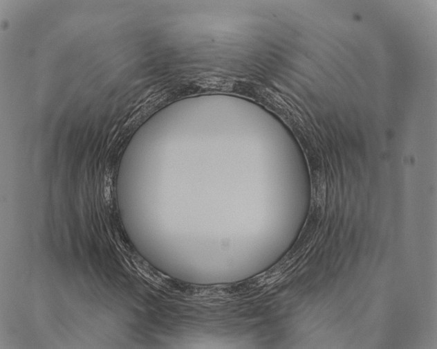 X0000090461154200707130946