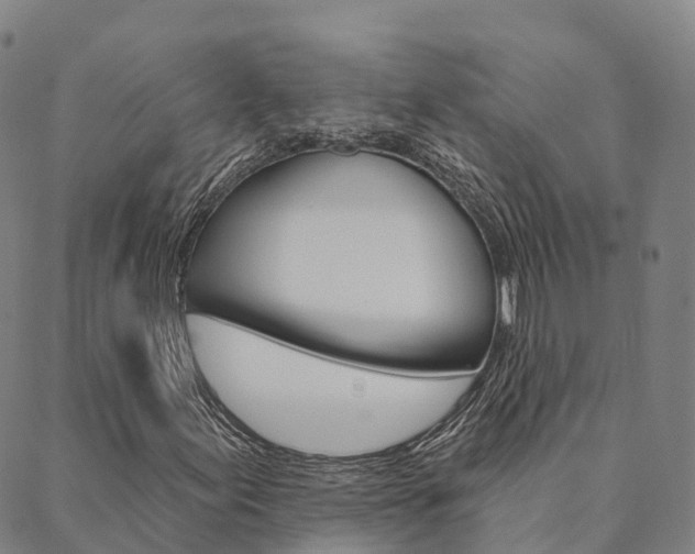 X0000090461155200707130946