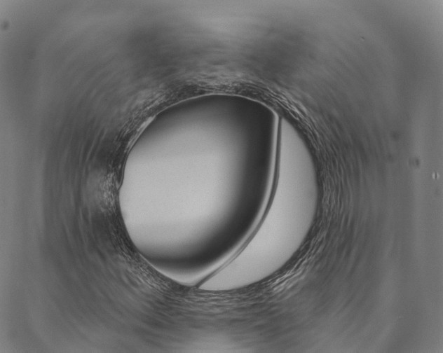 X0000090461156200707130946